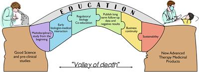 Education for the translation of Advanced Therapy Medicinal Products
